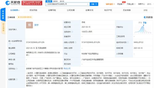 京東云計算拓展智能城市版圖，新設科技公司布局動漫游戲開發與系統集成
